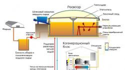 Biogas from manure - methods of production, advantages of technology Homemade biogas plant