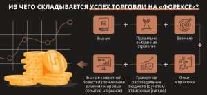 sredstva-v-foreks-kljuch-k-uspeshnoj-torgovle