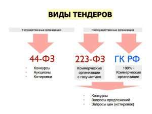 tendery-v-rossii-vidy-preimushhestva-i-osobennosti-uchastija